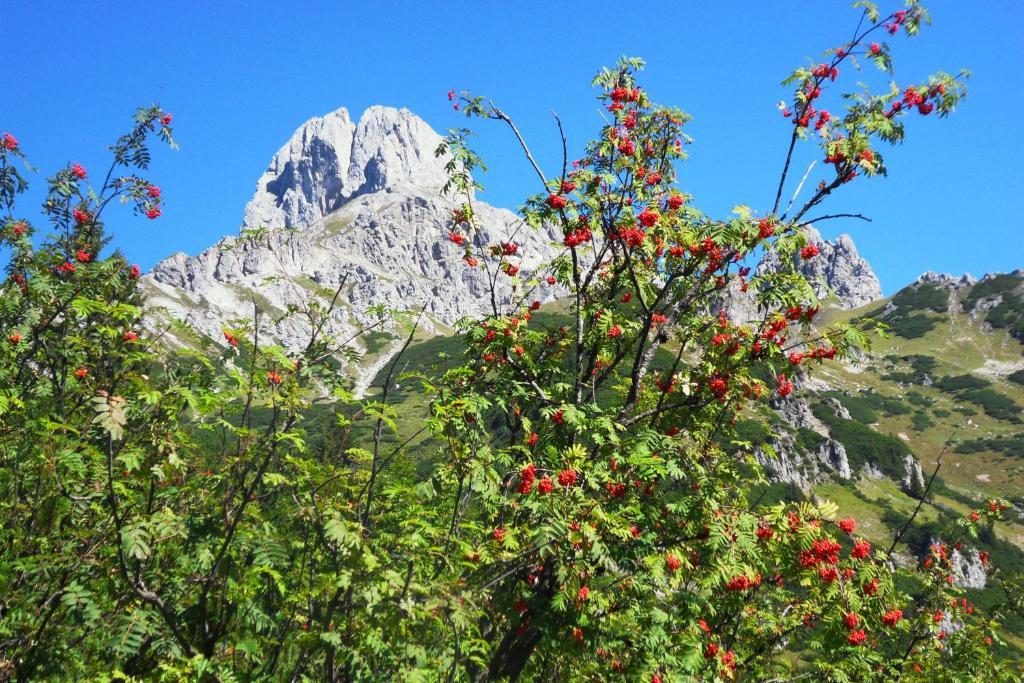 Ferienhaus Abendstille Ramsau am Dachstein Phòng bức ảnh